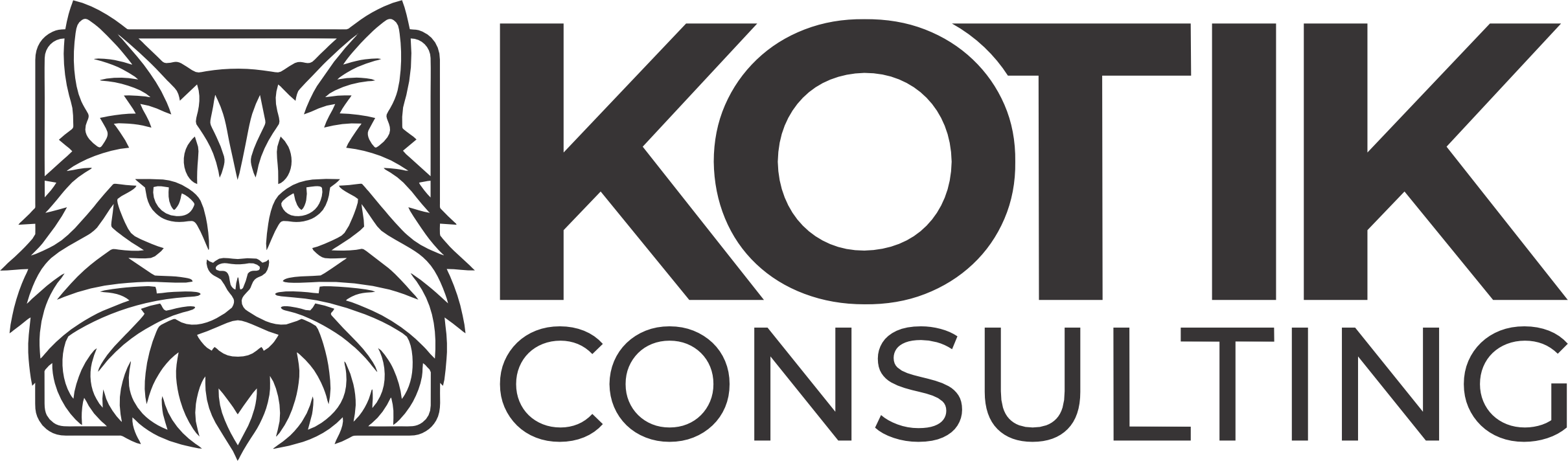 Kotik Consulting